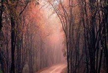 九游娱乐：官方：劳塔罗腿筋受伤退出阿根廷名单，无缘出战巴西&乌拉圭.