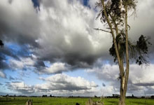 第九届亚冬会闭幕式最后一次全要素彩排完成央视新闻客户端.