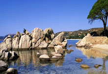 九游娱乐:英国确认主办2035年女足世界杯,期待新高峰!.